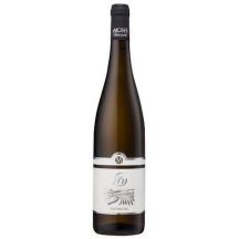 מוני נחל גוורצטרמינר