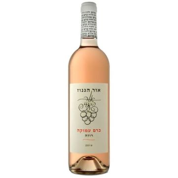 אור הגנוז כרם עמוקה רוזה